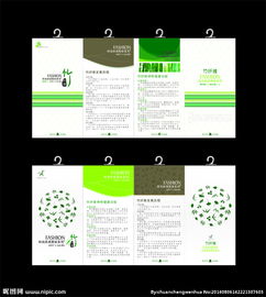 襪子產(chǎn)品圖片欣賞與搭配指南